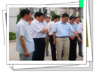 йϵľ35222vip(ɷ)޹˾