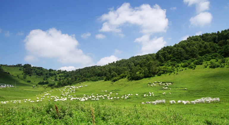 йϵľ35222vip(ɷ)޹˾