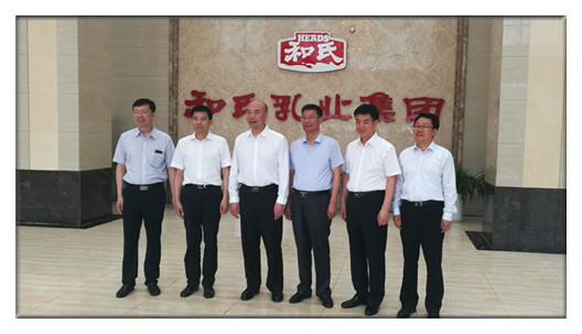 йϵľ35222vip(ɷ)޹˾