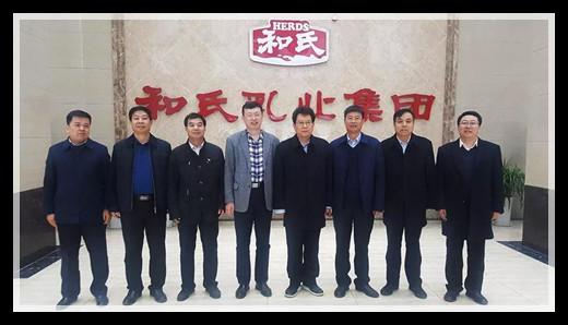 йϵľ35222vip(ɷ)޹˾