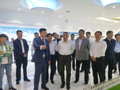 йϵľ35222vip(ɷ)޹˾