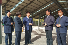 йϵľ35222vip(ɷ)޹˾