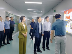 йϵľ35222vip(ɷ)޹˾